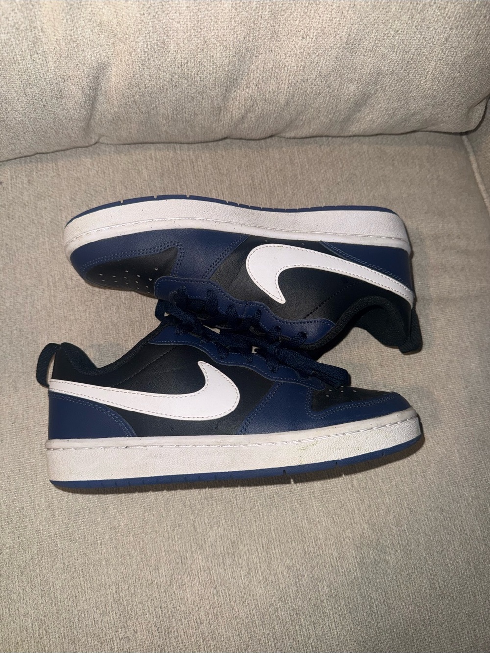 Nike Men’s Low-Top Sneakers in Navy and White